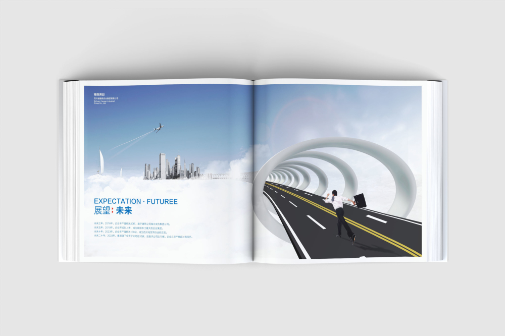 醴陵市画册设计